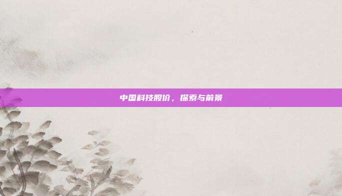 中国科技股价，探索与前景