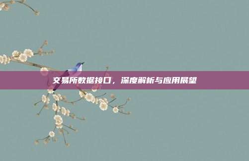 交易所数据接口，深度解析与应用展望