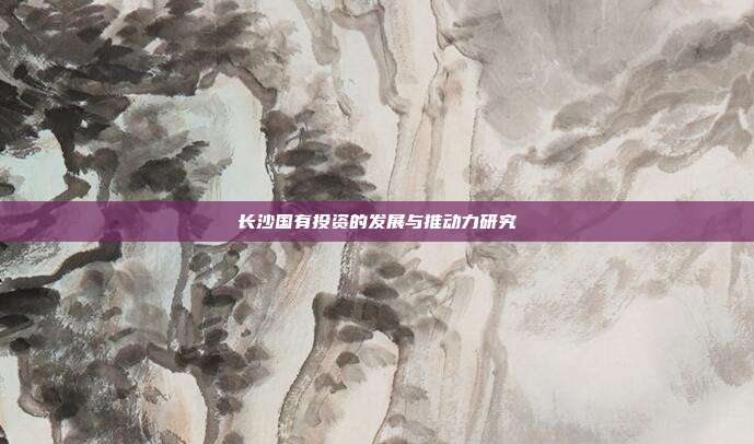 长沙国有投资的发展与推动力研究