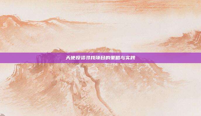 天使投资寻找项目的策略与实践