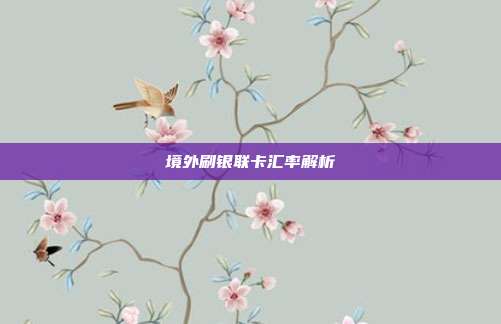 境外刷银联卡汇率解析