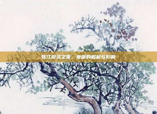 珠江投资之星,朱蕾的崛起与影响