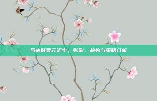马来对美元汇率，影响、趋势与策略分析