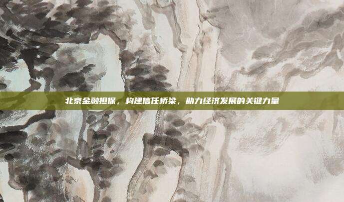 北京金融担保，构建信任桥梁，助力经济发展的关键力量