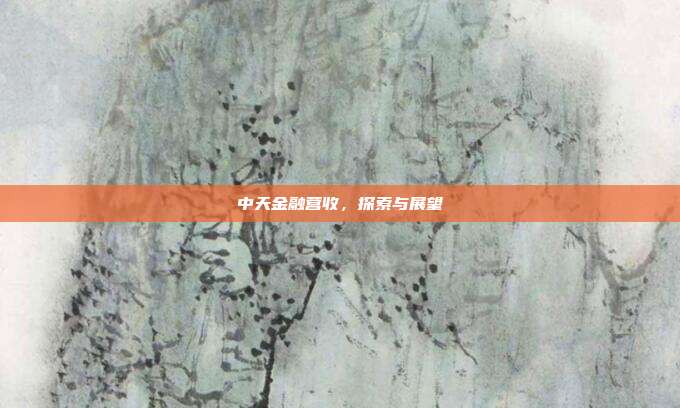 中天金融营收，探索与展望