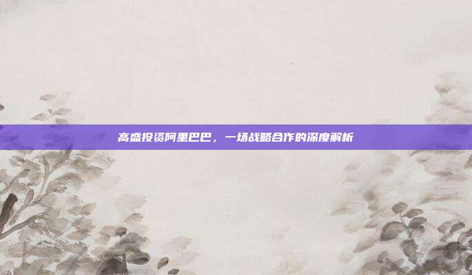 高盛投资阿里巴巴，一场战略合作的深度解析