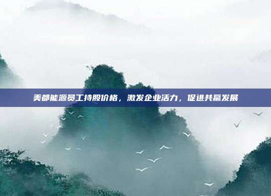 美都能源员工持股价格，激发企业活力，促进共赢发展