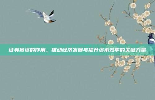 证券投资的作用，推动经济发展与提升资本效率的关键力量