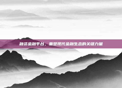 融资金融平台，重塑现代金融生态的关键力量
