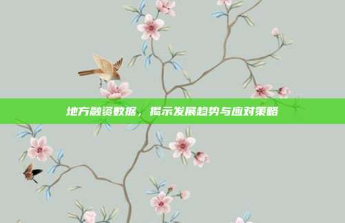 地方融资数据，揭示发展趋势与应对策略