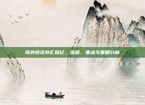 境外投资外汇登记，流程、要点与策略分析