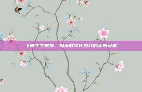 飞鹰牛牛数据，探索数字化时代的无限可能