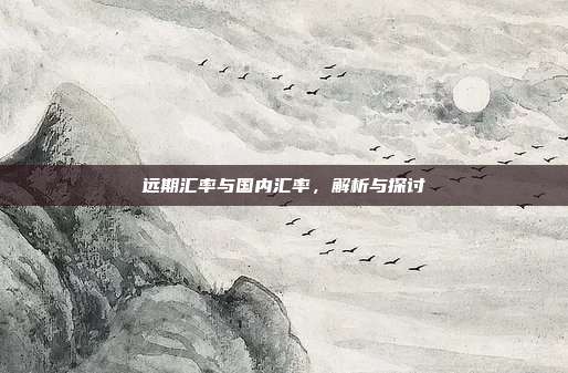 远期汇率与国内汇率，解析与探讨