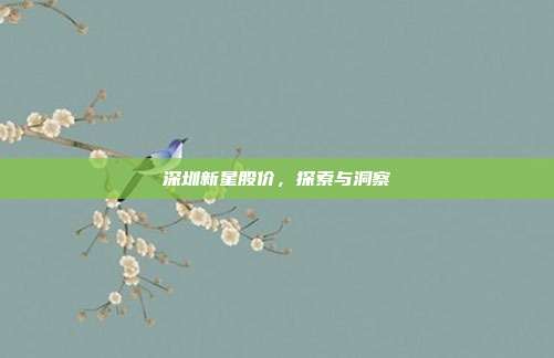 深圳新星股价，探索与洞察