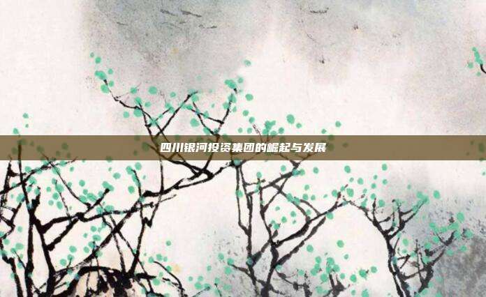 四川银河投资集团的崛起与发展