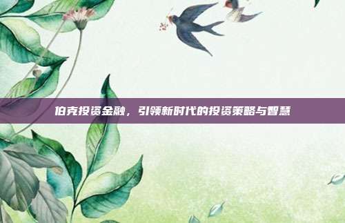 伯克投资金融，引领新时代的投资策略与智慧