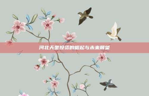 河北天罡投资的崛起与未来展望