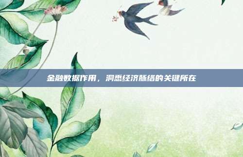 金融数据作用，洞悉经济脉络的关键所在