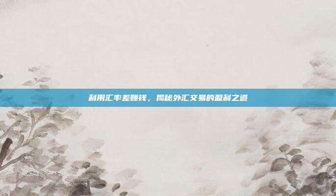 利用汇率差赚钱，揭秘外汇交易的盈利之道