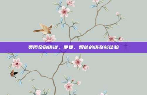 美团金融借钱，便捷、智能的借贷新体验