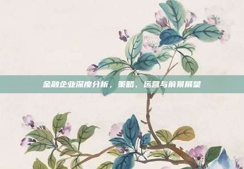 金融企业深度分析，策略、运营与前景展望