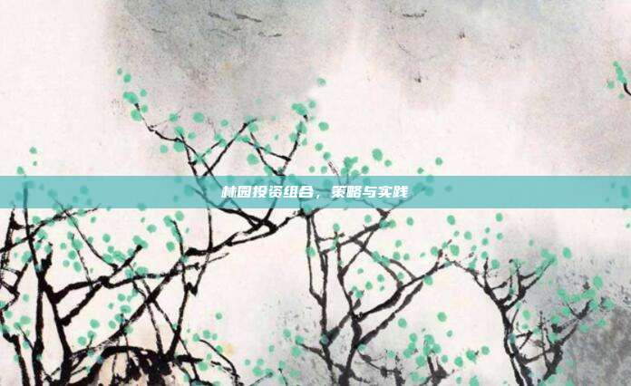 林园投资组合，策略与实践