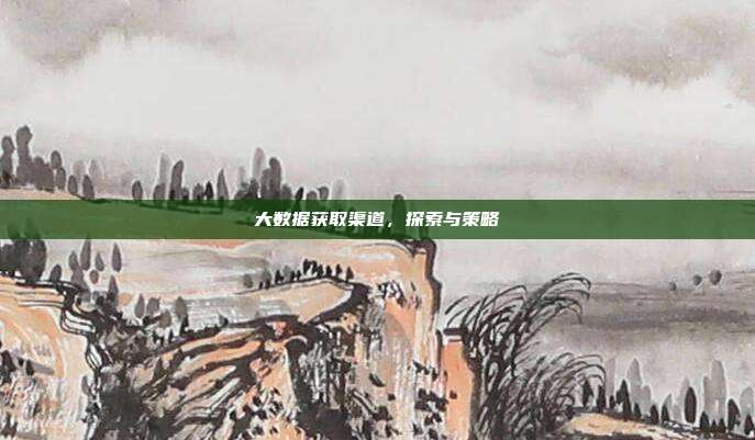 大数据获取渠道，探索与策略