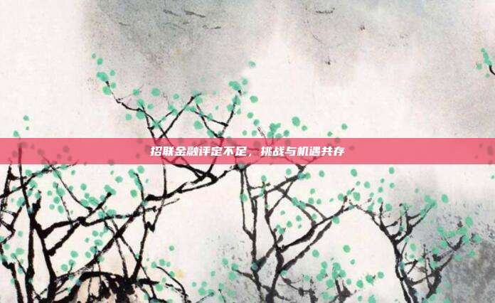 招联金融评定不足，挑战与机遇共存