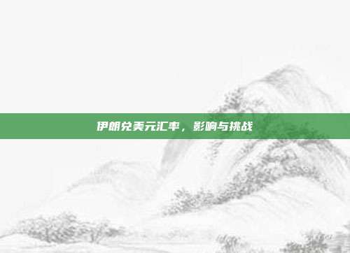 伊朗兑美元汇率，影响与挑战