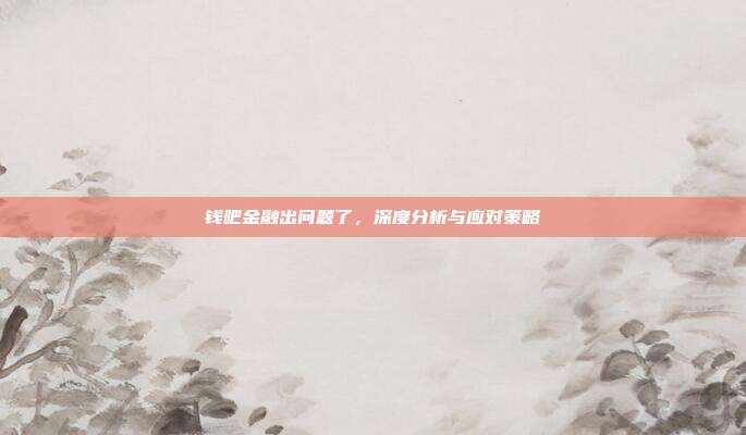 钱吧金融出问题了，深度分析与应对策略