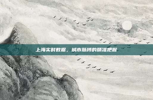上海实时数据，城市脉搏的精准把握