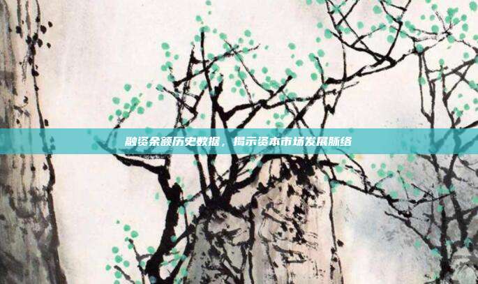 融资余额历史数据，揭示资本市场发展脉络