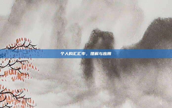 个人购汇汇率，理解与应用