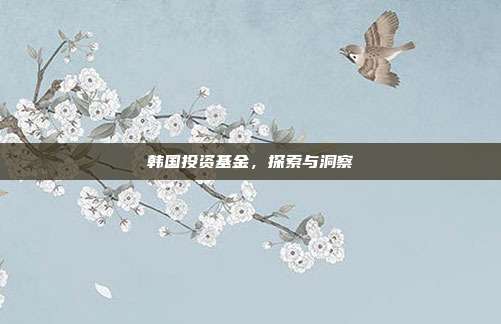 韩国投资基金，探索与洞察