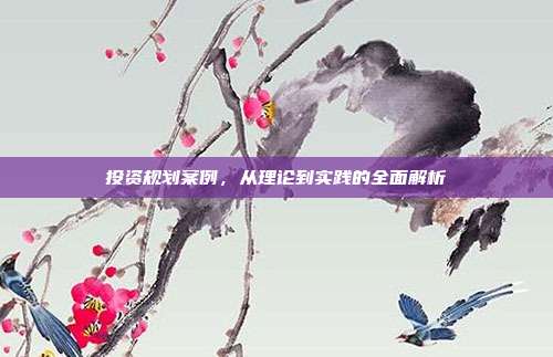 投资规划案例，从理论到实践的全面解析