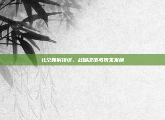 北京鞍钢投资，战略决策与未来发展