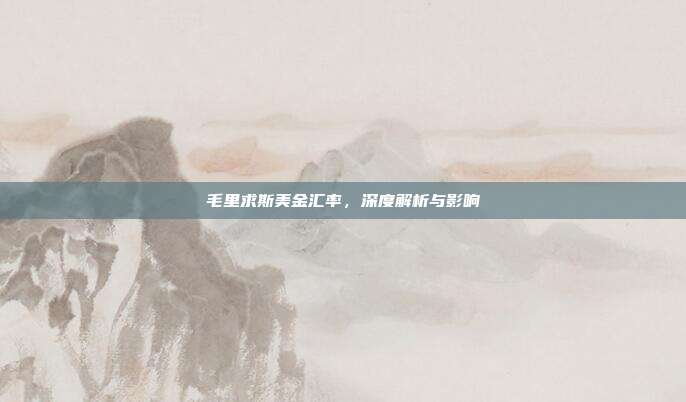 毛里求斯美金汇率，深度解析与影响