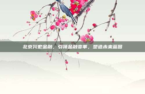 北京兴宏金融，引领金融变革，塑造未来蓝图