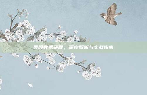 美股数据获取，深度解析与实战指南