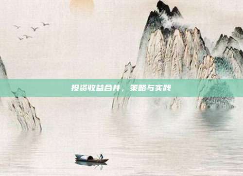 投资收益合并,策略与实践