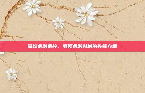 深圳金融金控,引领金融创新的先锋力量