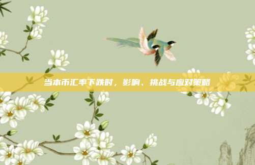 当本币汇率下跌时，影响、挑战与应对策略