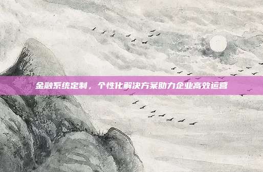 金融系统定制，个性化解决方案助力企业高效运营