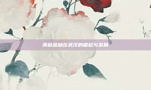 美利金融在武汉的崛起与发展