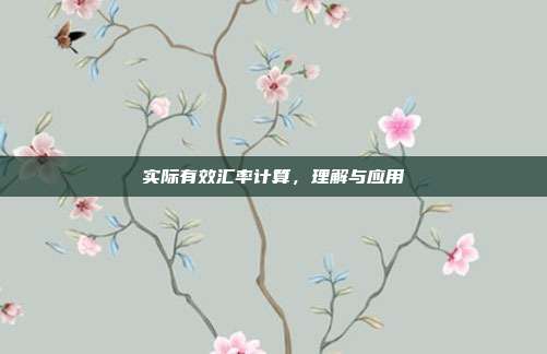 实际有效汇率计算，理解与应用