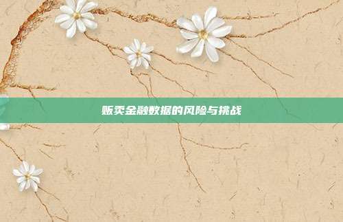 贩卖金融数据的风险与挑战