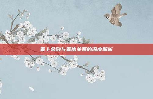 置上金融与置信关系的深度解析