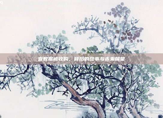 壹数据被收购，背后的故事与未来展望