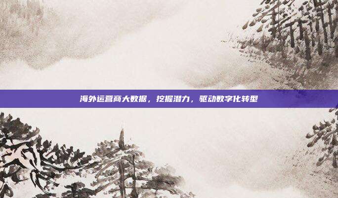 海外运营商大数据，挖掘潜力，驱动数字化转型