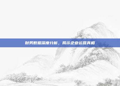 财务数据深度分析,揭示企业运营真相